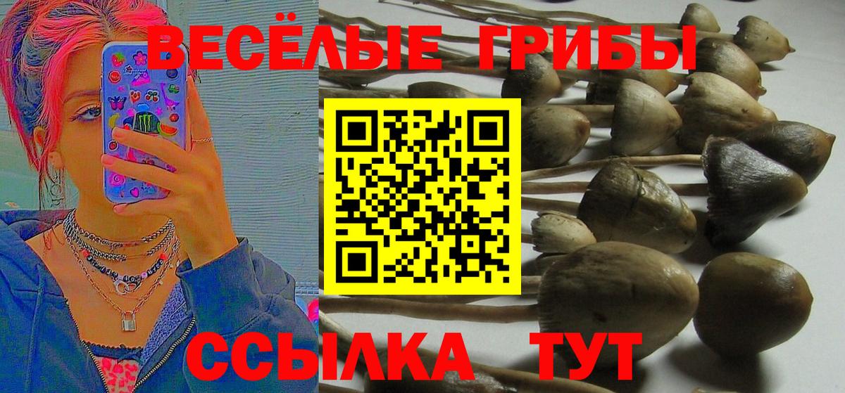 Псилоцибиновые грибы ЛСД  Галлюциногенные грибы прущие грибы  Касимов  Вход с VPN 