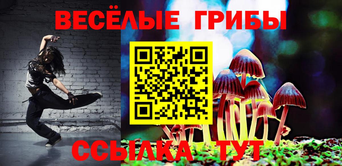 МЕФ Касимов